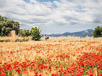 Vier Radtouren mit dem Gravelbike - Mallorca einmal anders: Traumtouren mit dem Gravelbike