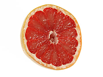 Die Grapefruit