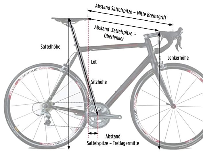 Welche Rahmengröße beim Rennrad brauche ich?