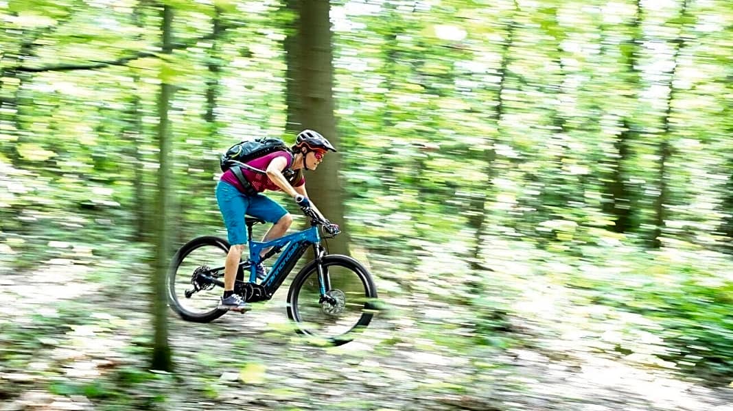 Verspieltes Trailbike: Cannondale Cujo Neo im Check