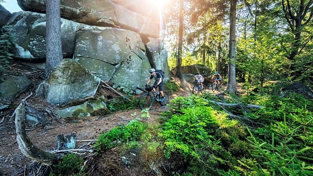 Die 14 besten Mountainbike-Trails in Deutschland
