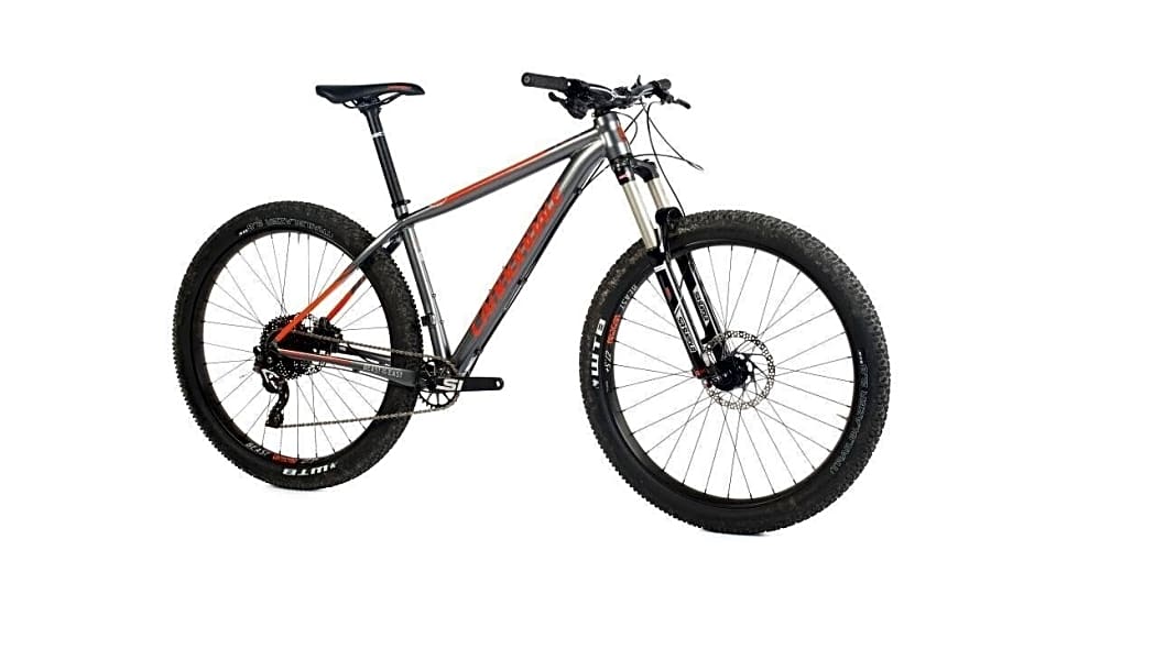 Cannondale Beast of the East 3 im Test