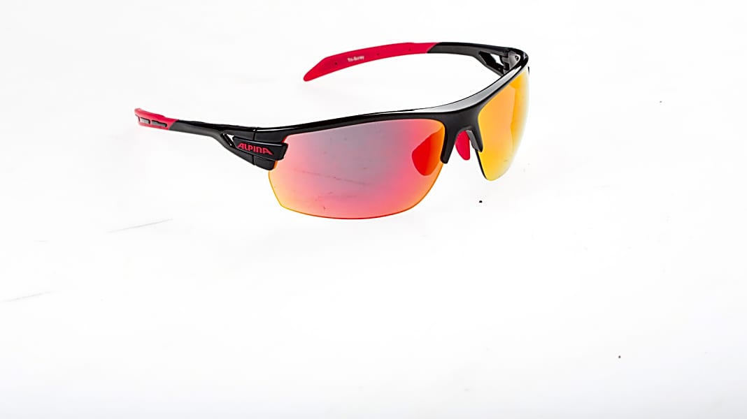 Radbrille Alpina Tri-Scray im Vergleich