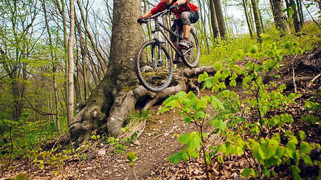 Mountainbike-Trails im Wienerwald