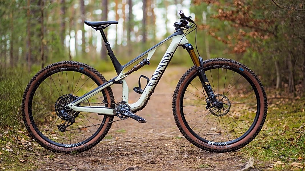 Trailbike Canyon Neuron CF9 SL im Test BIKE