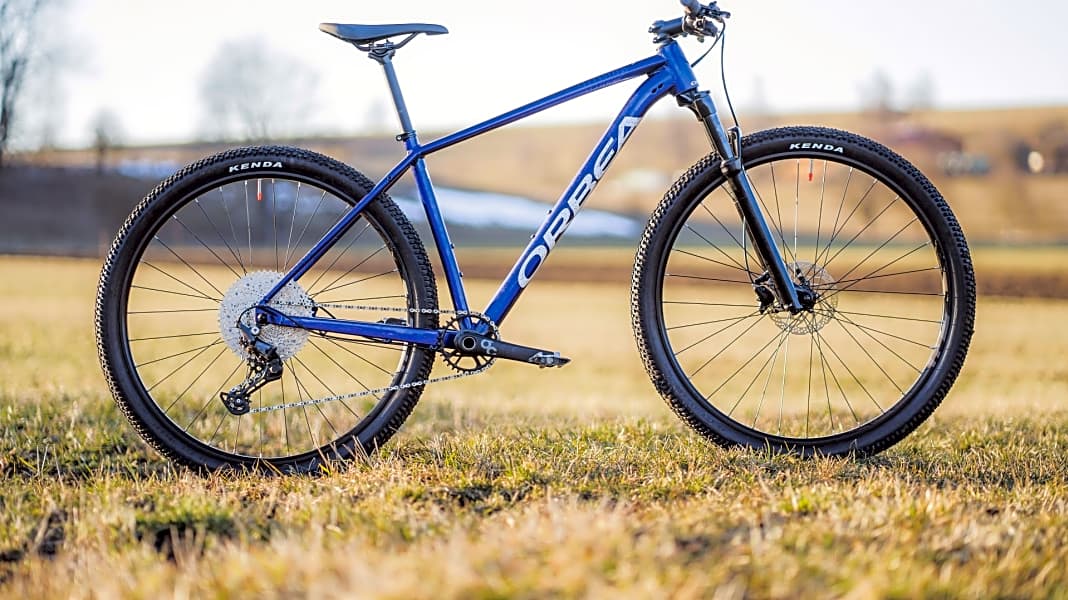 Einstiegsdroge Orbea Onna BIKE