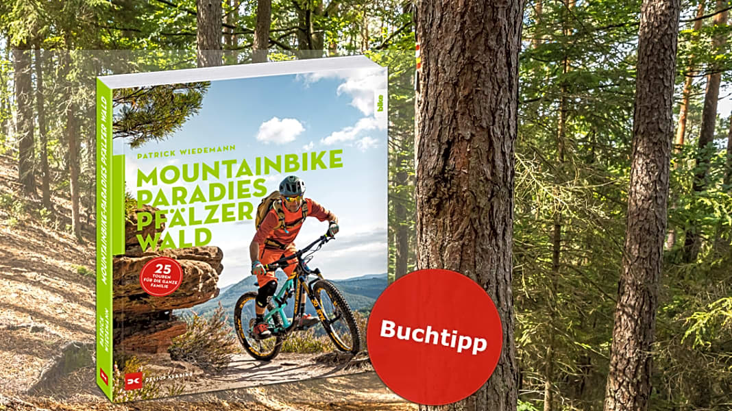 Buchtipp: Mountainbike-Paradies Pfälzerwald