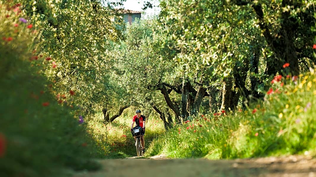 Bikepaking-Abenteuer auf dem Tuscany-Trail - In fünf Tagen mit dem Gravelbike durch die Toskana