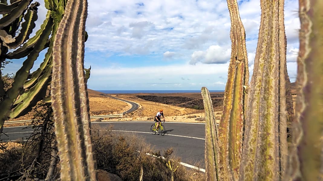 Kanarische Inseln: Vier Rennrad-Touren auf Fuerteventura
