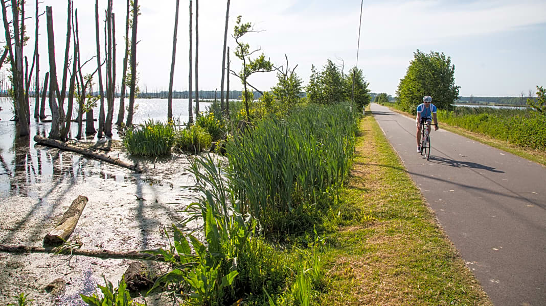 Deutschland: Mecklenburger Seenplatte - Epische Rennrad-Routen in der Mecklenburger Seenplatte
