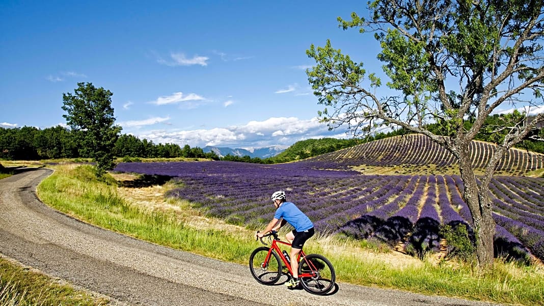 Frankreich-Reise: Rennradtouren in den Alpes-de-Haute-Provence - Südfrankreich: Traumtouren zwischen Alpen und Provence