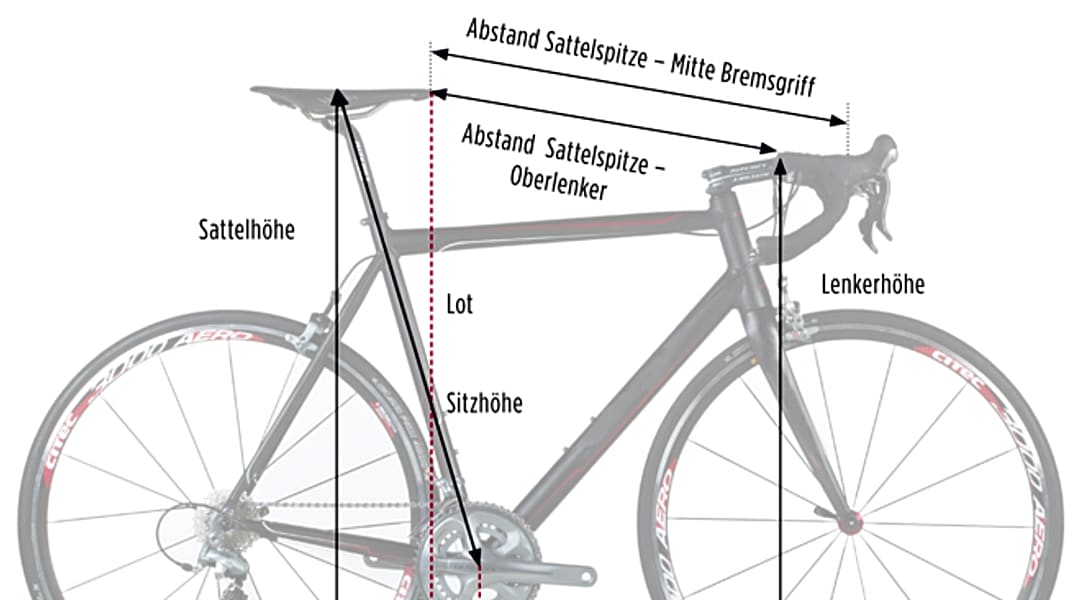 Rennrad-Kauf: Welche Rahmengröße beim Rennrad brauche ich?