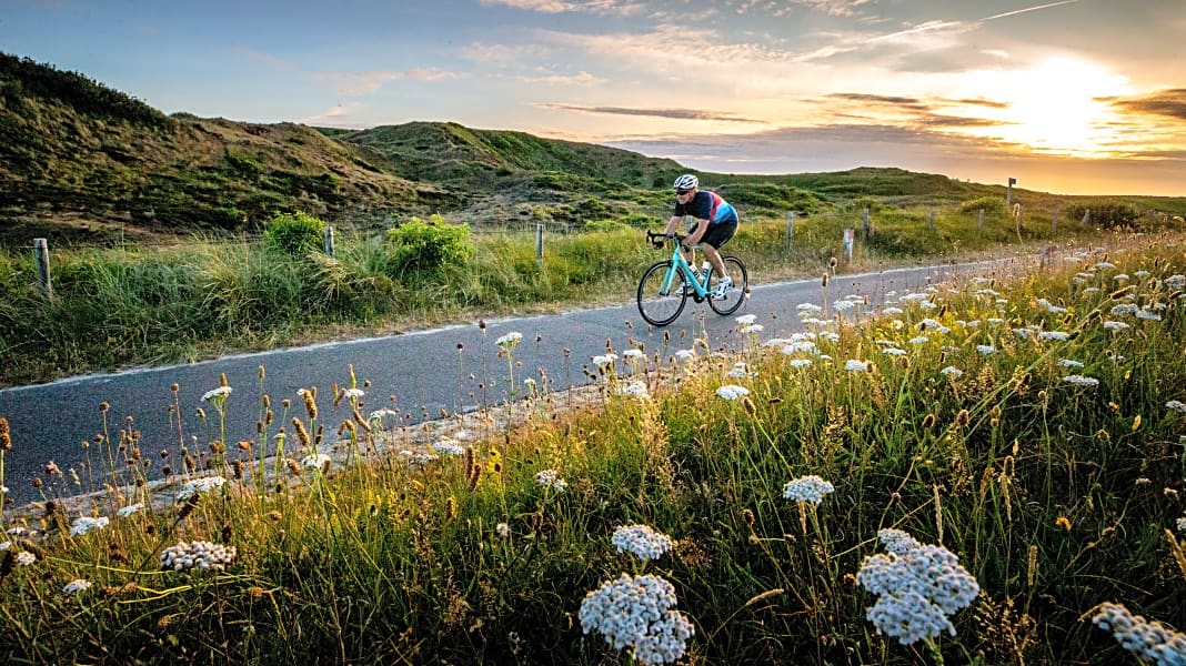 Nordholland: Rennradtouren von den höchsten Dünen der Niederlande zu Nordsee und IJsselmeer