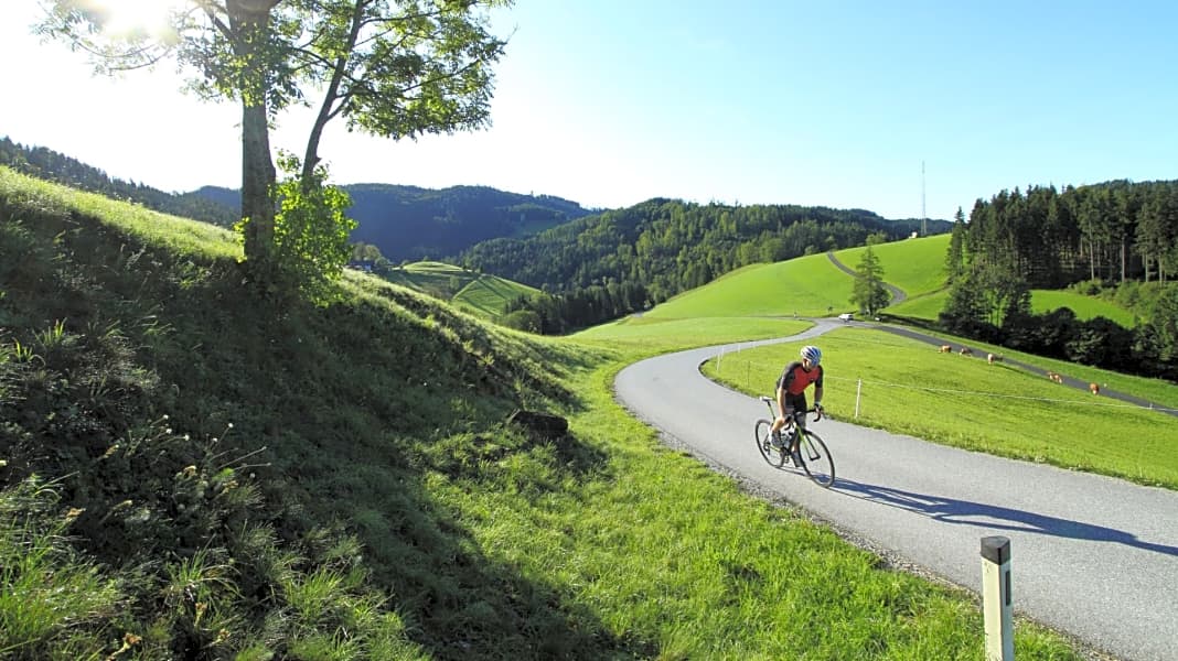 Reise nach Österreich: vier Rennradtouren in der Steiermark - Die schönsten Rennradtouren rund um Graz