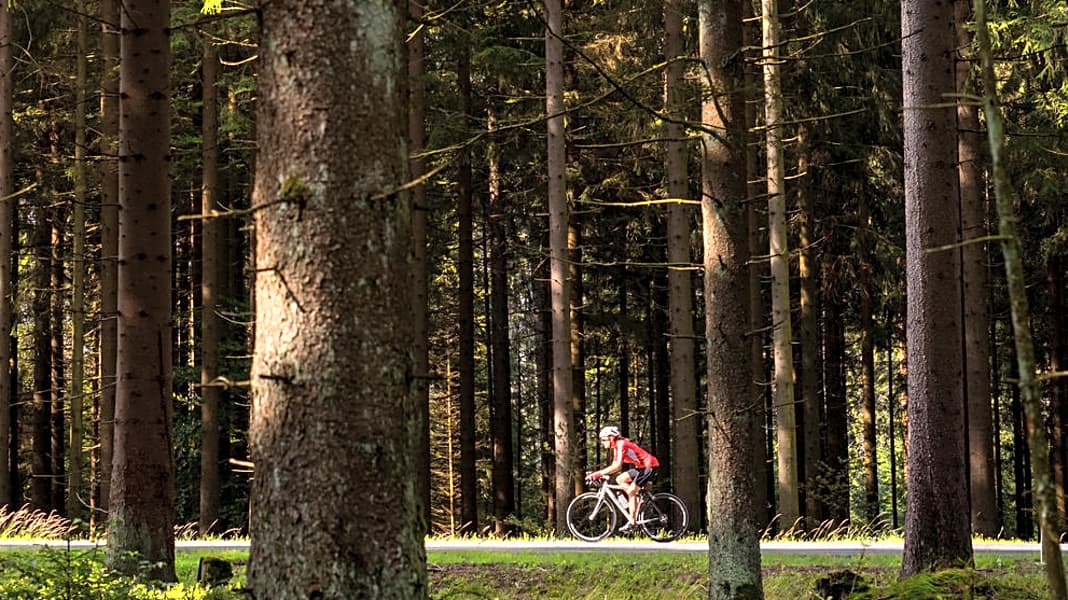 Thüringer Wald und Fichtelgebirge - Schöne Rennrad-Touren im Thüringer Wald und Nordbayern