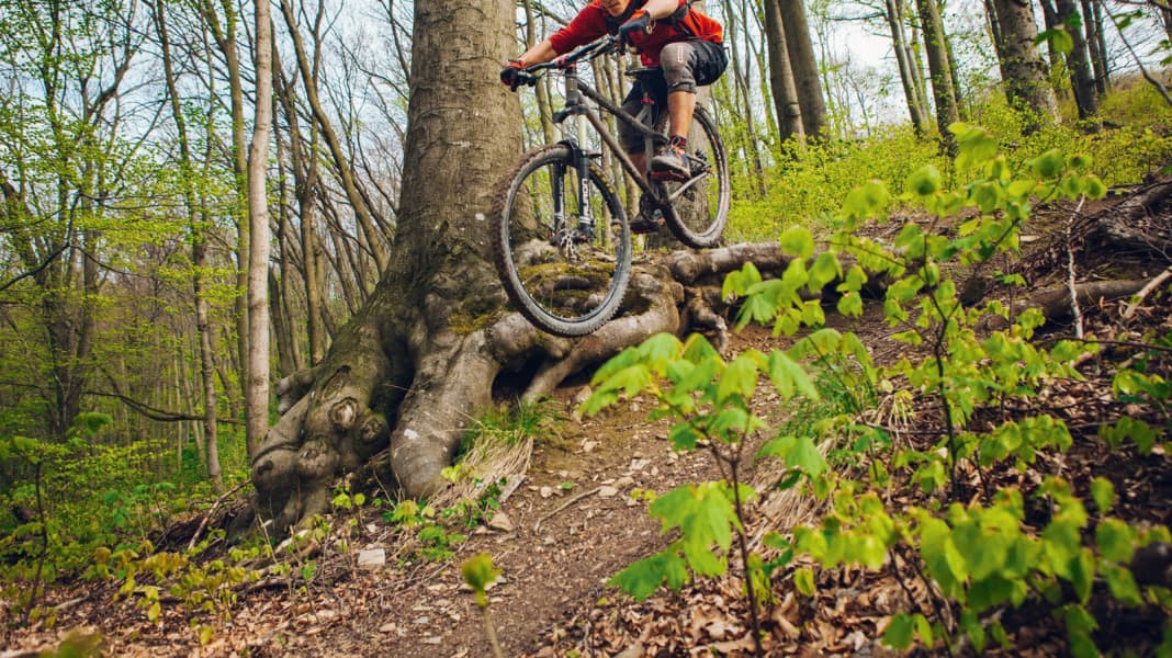 mountainbike tour wienerwald