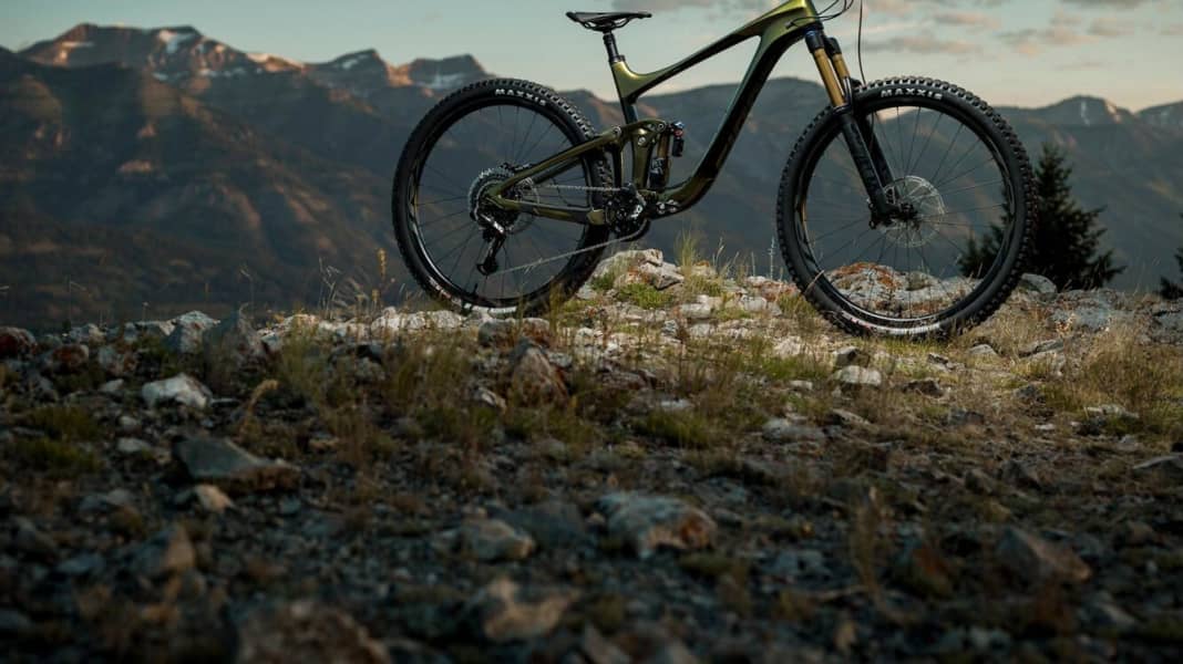EWS-Racebike mit Serienreife: Giant Reign 29