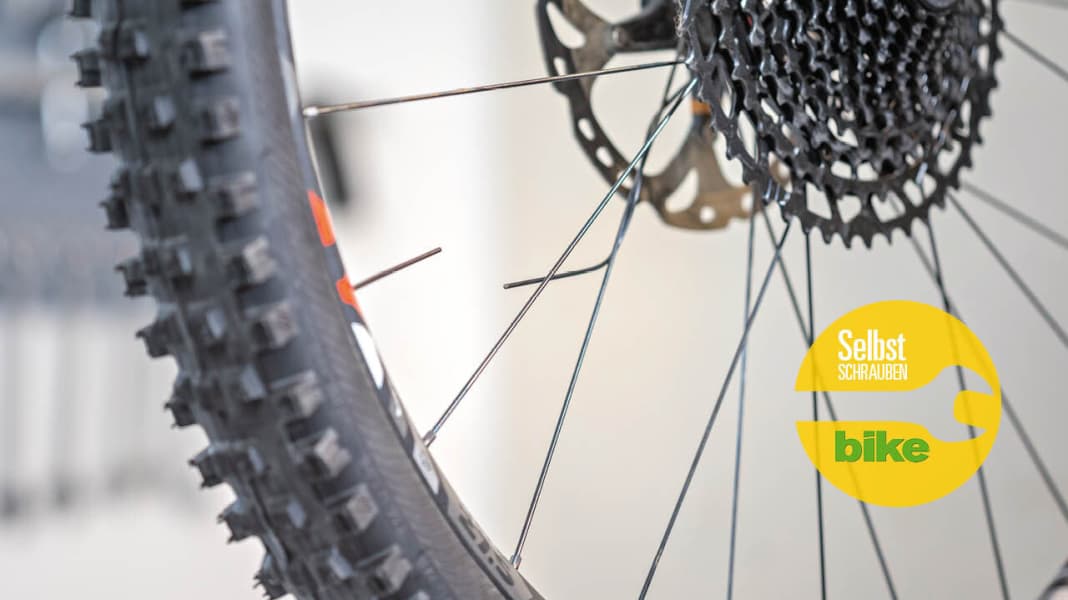 Speiche gerissen? So klappt die Reparatur BIKE