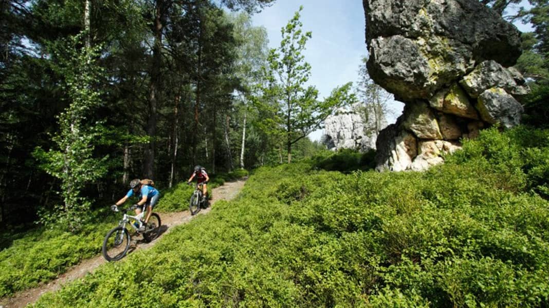 Deutschland: Bayerischer Wald mit dem Mountainbike