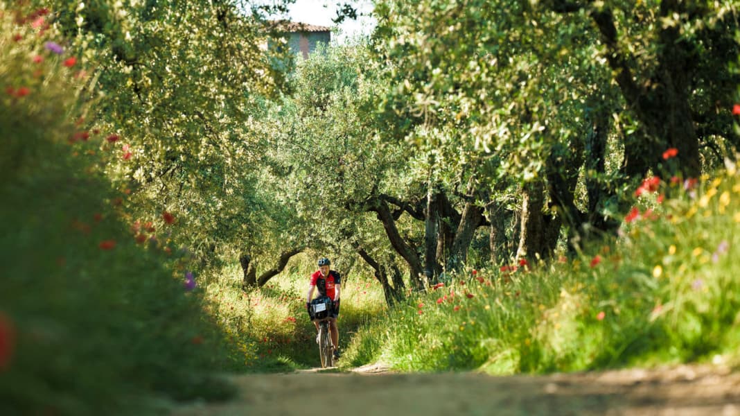 Bikepaking-Abenteuer auf dem Tuscany-Trail - In fünf Tagen mit dem Gravelbike durch die Toskana