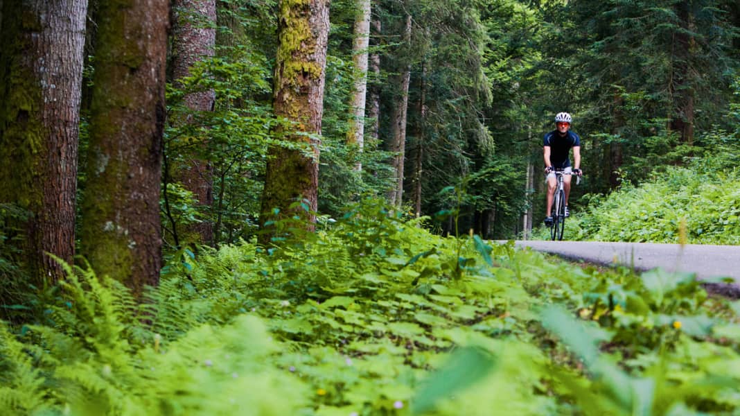 Deutschland: Rennradtouren im Hotzenwald - Im südlichen Schwarzwald führen steile Täler in große Höhe