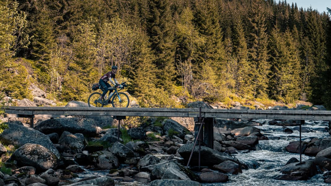 Bohemian Border Bash Race - Gravelbikepacking Rennbericht | TOUR