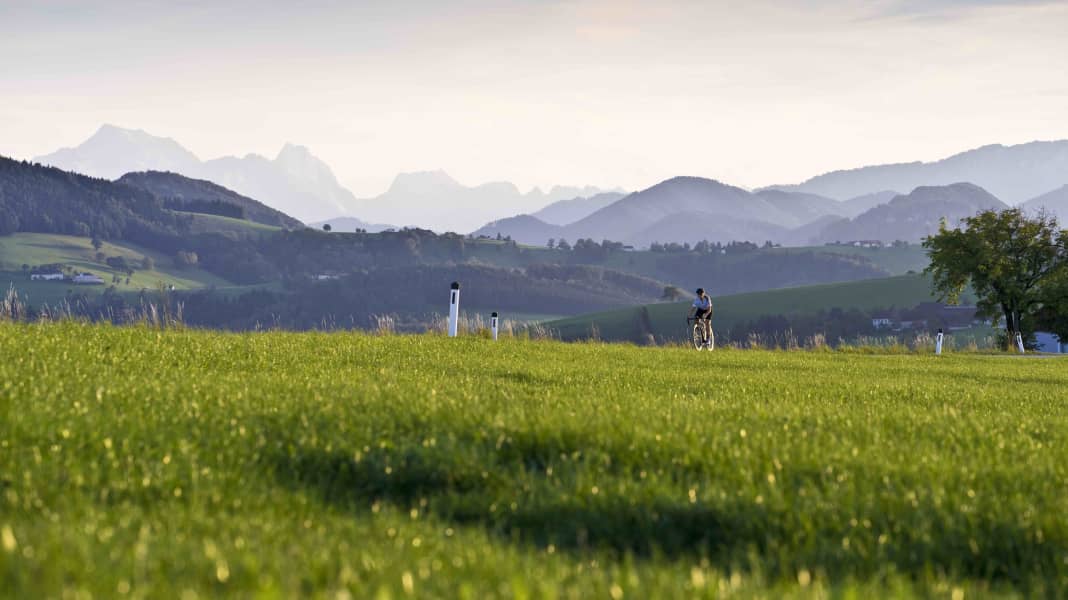 Reise Österreich: Vier Rennradtouren in Oberösterreich - Seen und Berge: Traumtouren von Wels ins Alpenvorland