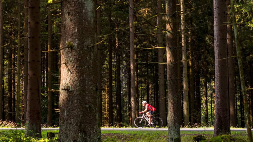 Thüringer Wald und Fichtelgebirge - Schöne Rennrad-Touren im Thüringer Wald und Nordbayern