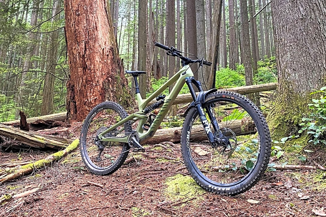 canyon torque mullet