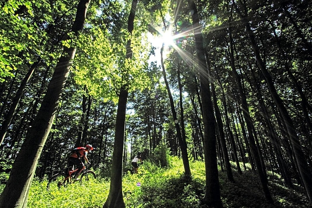 Rein optisch ist der Teutoburger Wald eher ein unauffälliges Mittelgebirge. Aber seine vielseitigen Natur-Trails sind Programm: Schweden-Trail, Weihnachtsbaum-Trail, Flauschi-Trail, Rote-Bank-Trail …