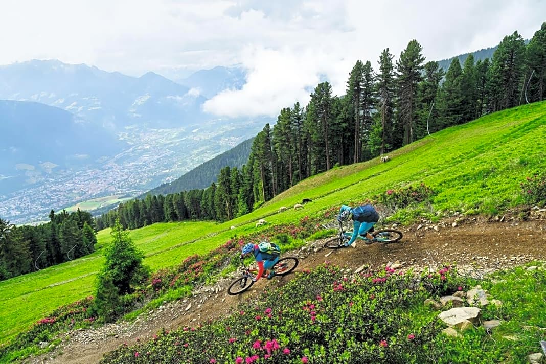 Knappe 1000 Höhenmeter schlängelt sich der Skyline-Trail nach unten und gibt immer wieder Tiefblicke auf Brixen frei. 
