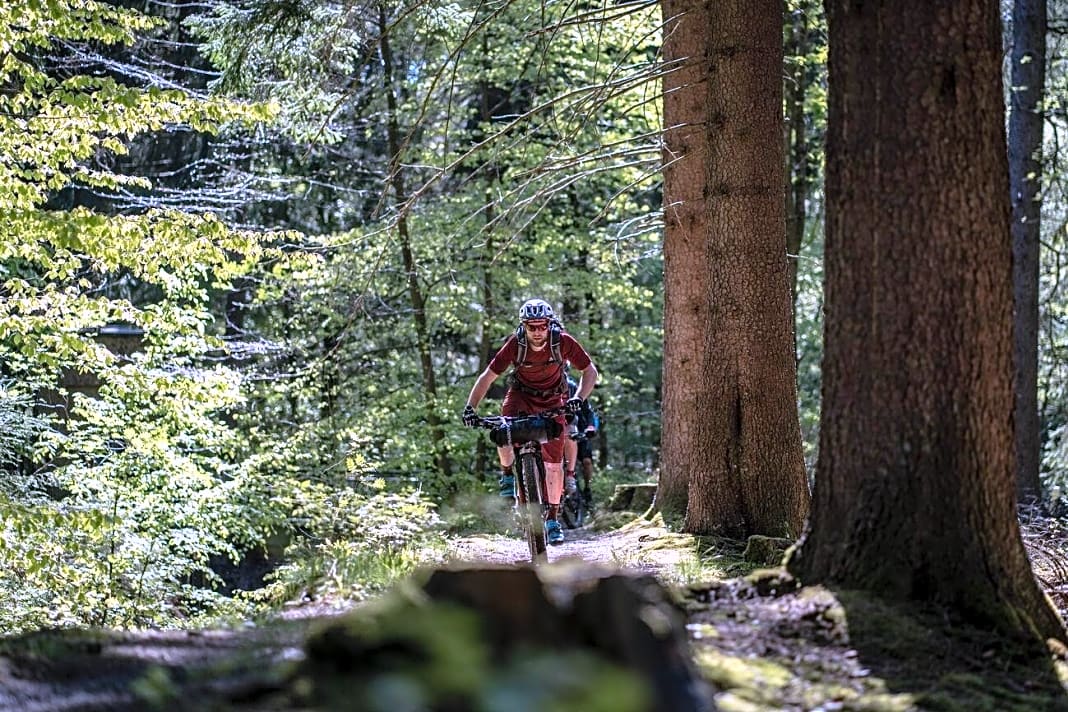 Die 14 besten MountainbikeTrails in Deutschland BIKE