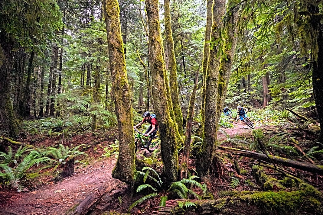 Northshore in Kanada: Epische Mountainbike Trails