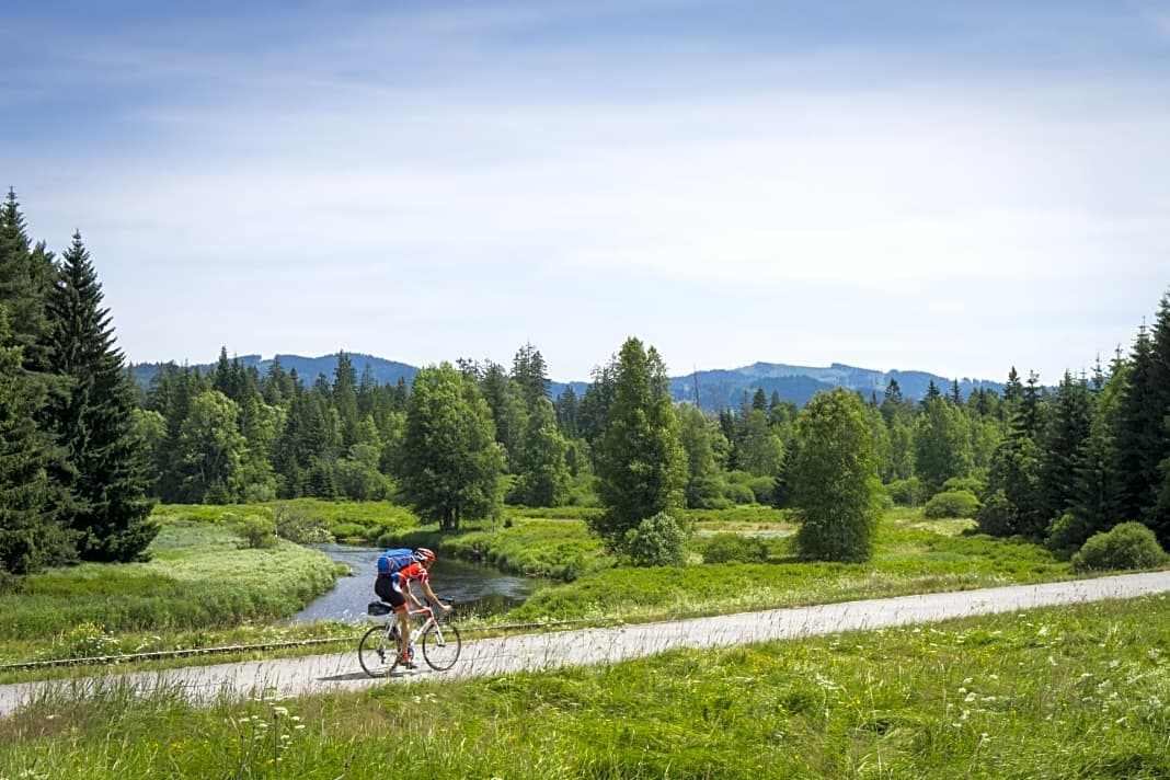 Unberührte Natur: Ein Fahrrad- und Anliegersträßchen führt am dritten Tag durch den Nationalpark Šumava (Böhmerwald).