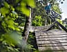 Spaßig: Der Curved Wallride mit abschließendem Sprung auf die  Holzrampe ist nur 
eines der Highlights auf dem Oberammergauer Fichtenschreck-Trail.