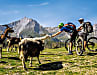 Ziegen und Kühe gehören in den Pyrenäen zum Landschaftsbild. Manche Tiere sind zutraulich und freuen sich über menschlichen Besuch, wie die Ziegen am Col de Cantau.

  