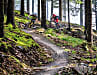 Die Trails am Klínovec schlängeln sich durch dichten Fichtenwald. Viel Zeit für Panoramablicke bleibt auf den Achterbahn-Trails sowieso nicht.

  
