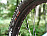 Whyte 905: Die 35-mm-Felgen und die 2,8er-Reifen drücken aufs Gewicht und nehmen dem Bike jedes Fünkchen Spritzigkeit.