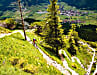 Tannheimer Tal: Das Hochtal gehört noch zu den Allgäuer Alpen, liegt aber schon jenseits der Grenze nach Tirol. Das bedeutet: Ein offizielles Befahren der Trails ist leider verboten. Schade mal wieder, denn wie man sieht, haben die Tann­heimer Trail-Kurven das Zeug zum Kultstatus.