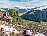 Alps Trail Davos