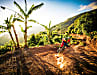 PAULOS SCHATZ: Costa Rica - Trails zwischen Kaffee- und Bananenstauden