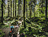 Der Märchenwald setzt gleich zum Auftakt der Tour ein Ausrufezeichen! Wunderschön geht es durch die moosbedeckten Felsen.