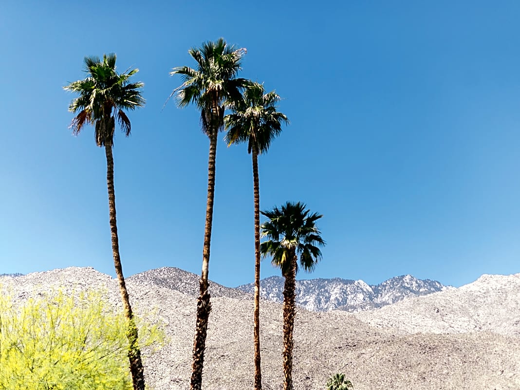 Palmen, Wüstengebirge und ewige Sonne - das ist Palm Springs im Süden Kaliforniens. Und jetzt wird das Wasser richtig knapp. Bitter.