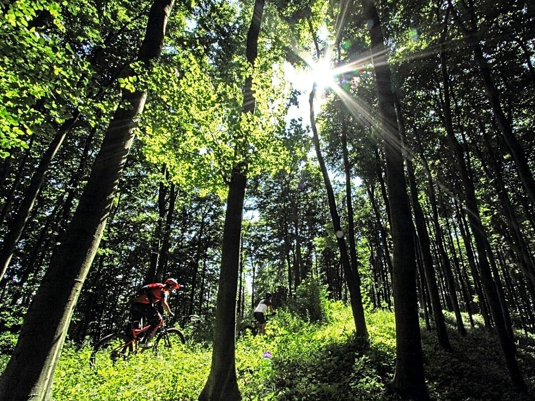 Rein optisch ist der Teutoburger Wald eher ein unauffälliges Mittelgebirge. Aber seine vielseitigen Natur-Trails sind Programm: Schweden-Trail, Weihnachtsbaum-Trail, Flauschi-Trail, Rote-Bank-Trail …