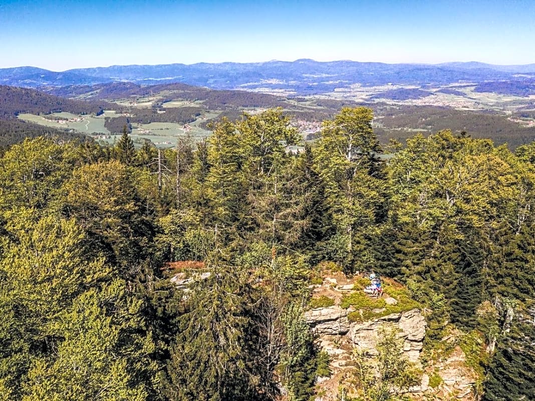 Vom Rauhen Kulm (1050 m) schaut man bis zum König des Bayerwalds, dem Großen Arber (1456 m).