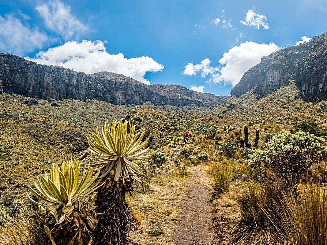 So sehen die Trails in Kolumbien aus.