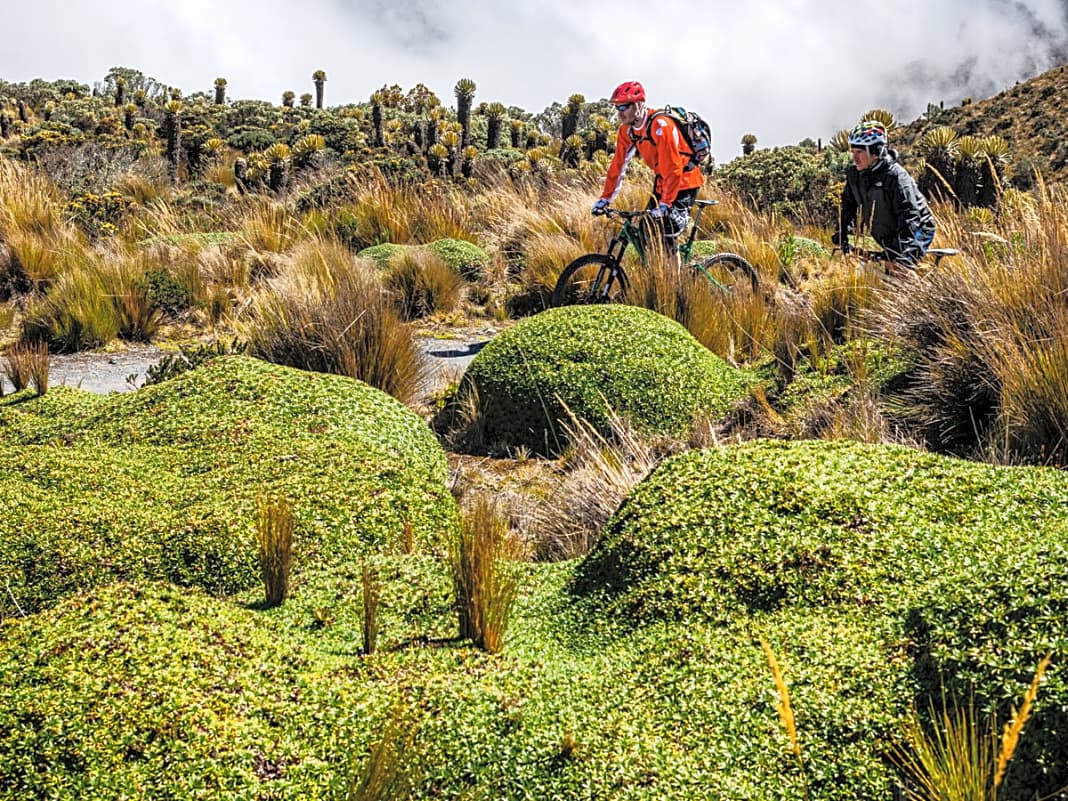 Mit Fünftausendern im kolumbianischen Nationalpark Los Nevados