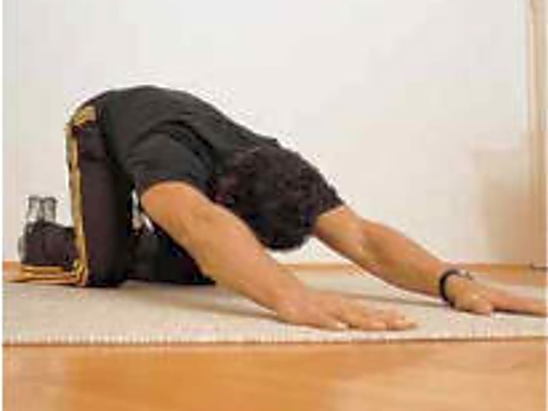 Rücken & Brustmuskeln

Durchführung: Kniestand am Boden, Arme gestreckt nach vorne. Druck mit den Schultern zum Boden. Kopf parallel zum Boden. Zur Spannungserhöhung Gesäß leicht nach hinten ziehen, aber nicht auf den Waden ablegen.