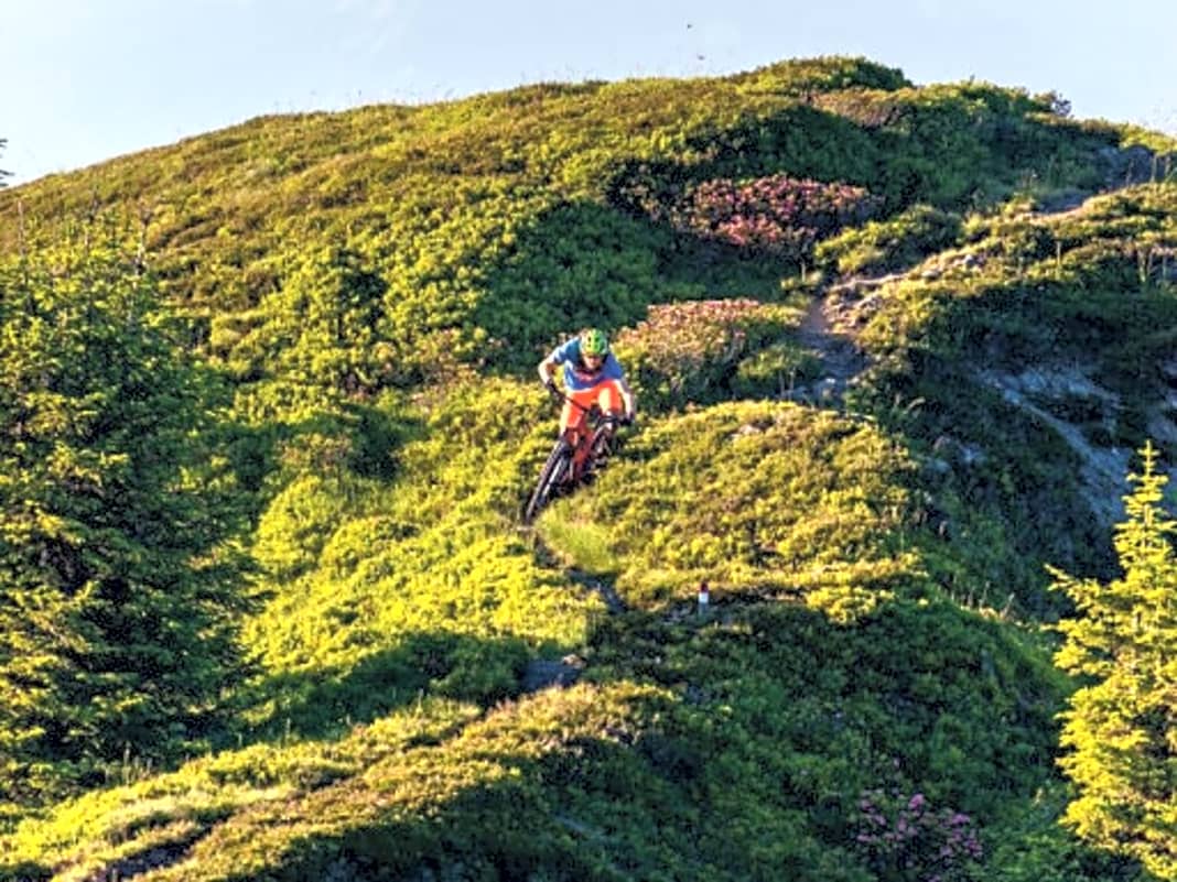 Kitzbüheler Alpen: Wenn sich Bike-begeisterte Locals mit den Tiroler Trail-Verboten nicht abfinden wollen, können sie richtig etwas bewegen. Kirchberg gehört zu den Gebieten, die für Biker alles möglich machen. Jede Menge freie Trails und Bike-Events mit Seilbahn-Support.