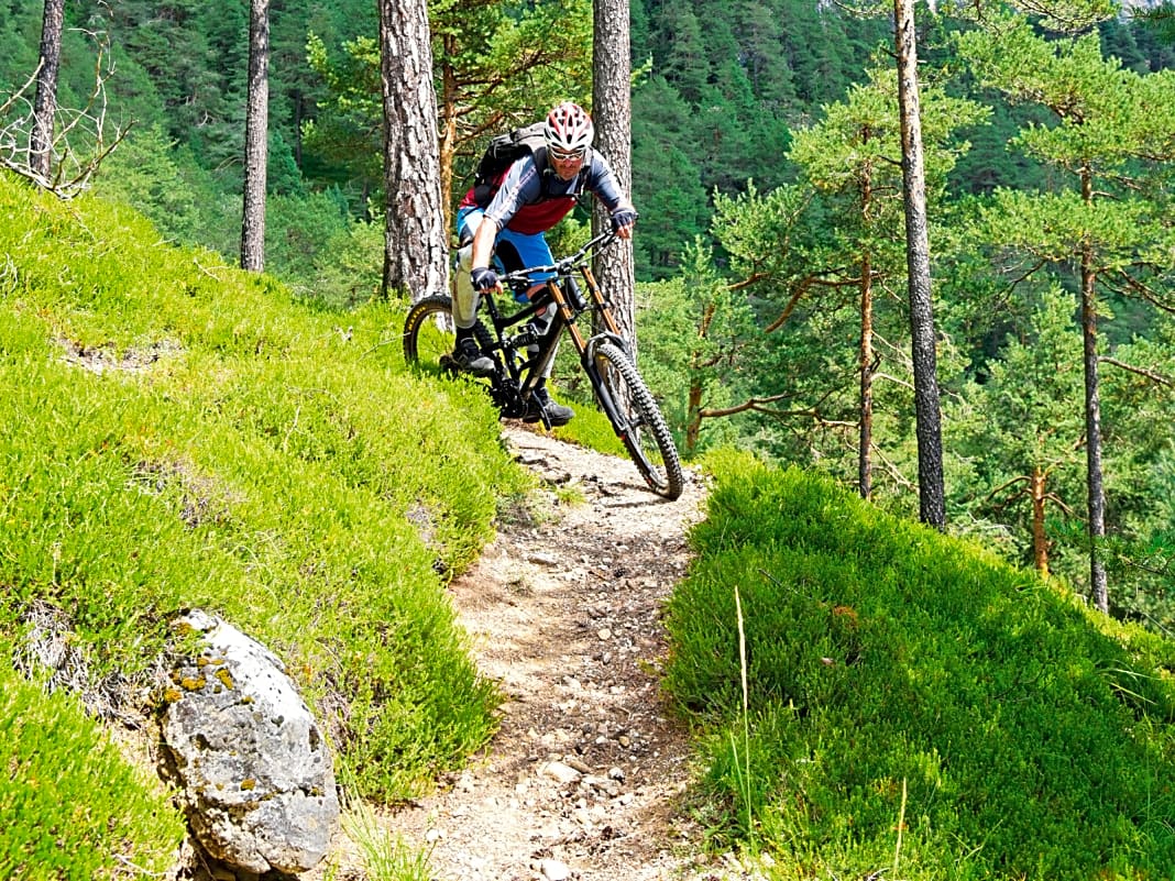 Pinien, Fels und Trails: Im Val di Fiemme findet man insgesamt leichtere Trail-Abfahrten als im Fassatal.